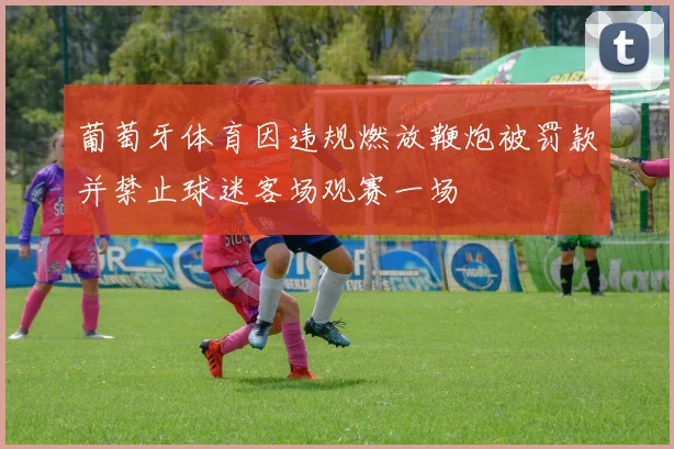 葡萄牙体育因违规燃放鞭炮被罚款并禁止球迷客场观赛一场