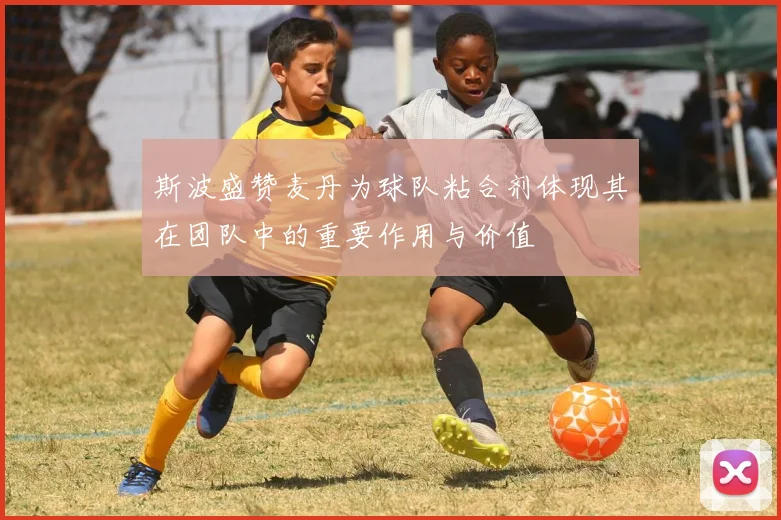 斯波盛赞麦丹为球队粘合剂体现其在团队中的重要作用与价值