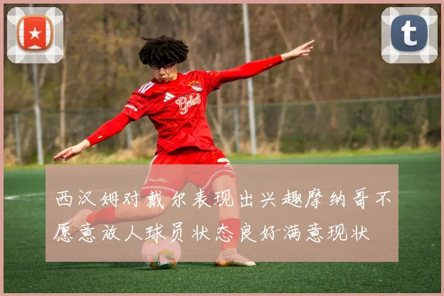 西汉姆对戴尔表现出兴趣摩纳哥不愿意放人球员状态良好满意现状