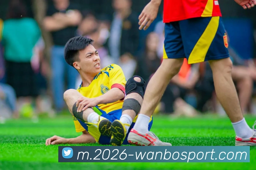 万博体育平台生态图