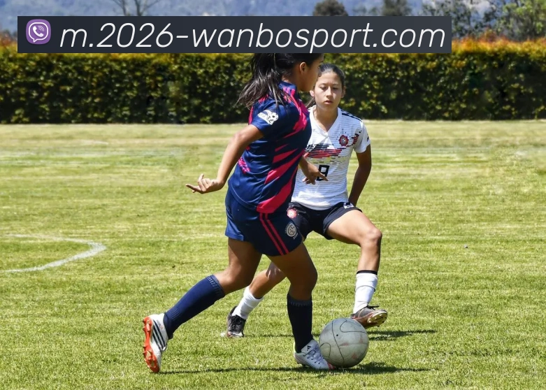 万博体育APP 封面图